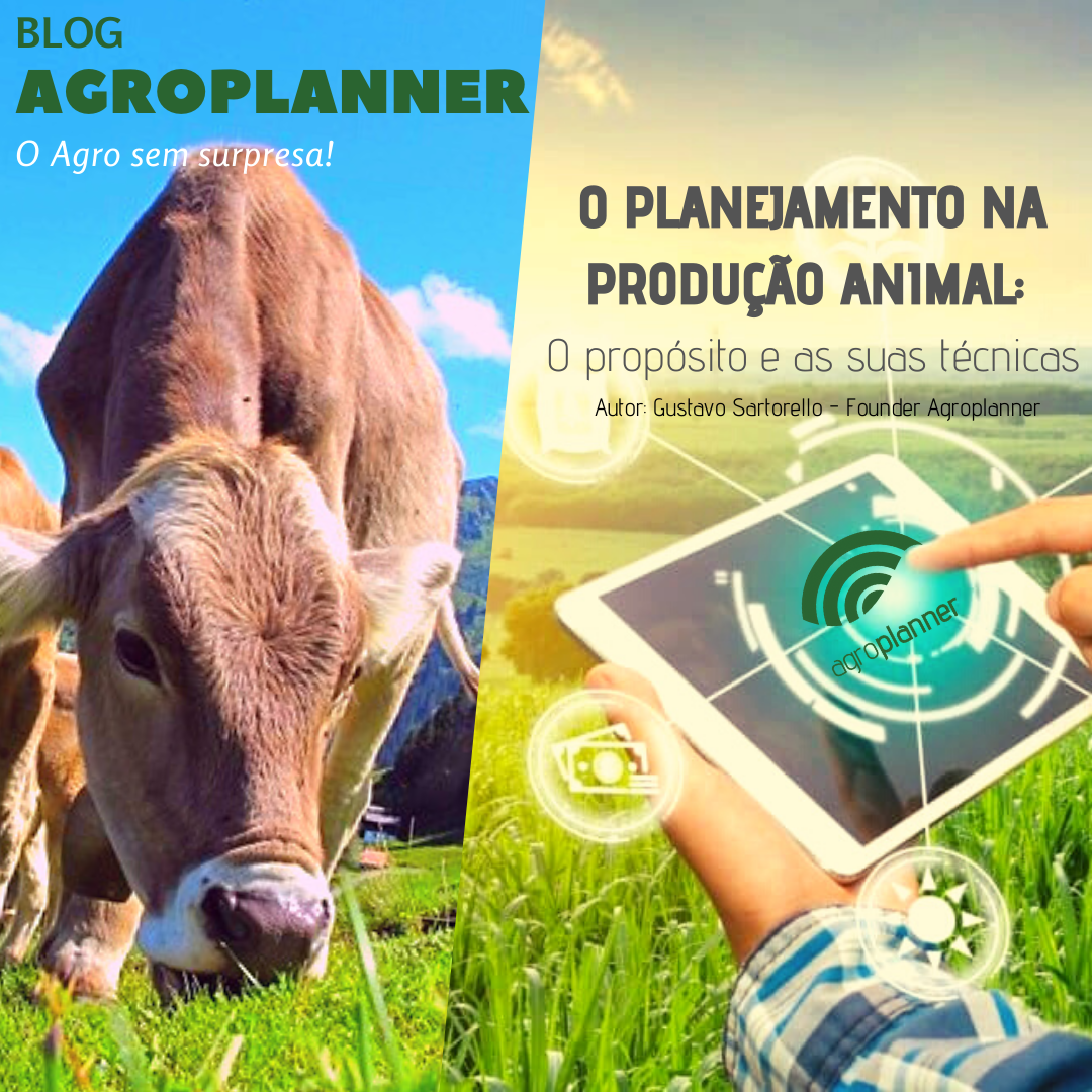 O pLANEJAMENTO NA PRODUÇÃO ANIMAL:
o Propósito e as suas técnicas Planejamento na produção animal