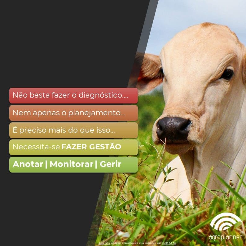 Como está a GESTÃO da sua fazenda? 2022 07 Para Quem E A Agrop NossosServicos 1