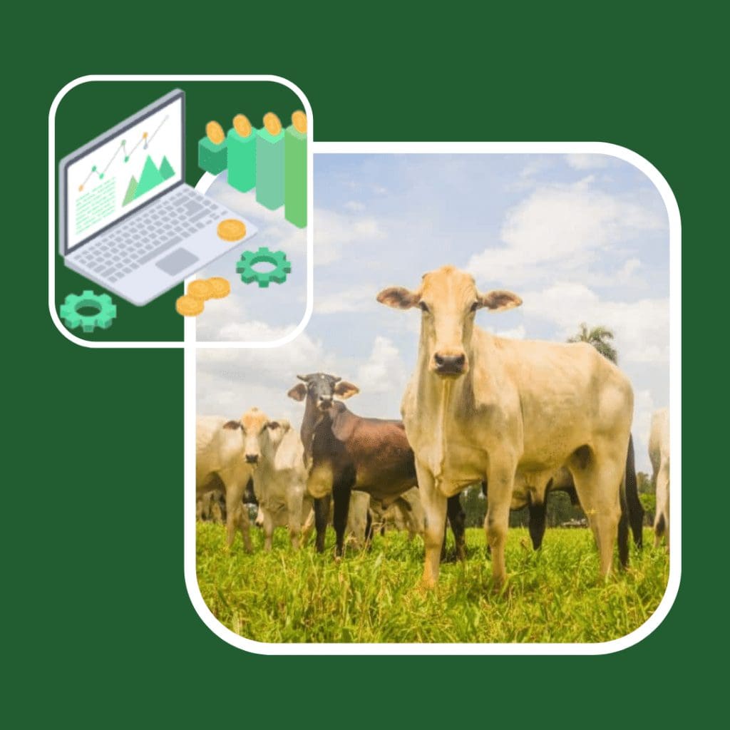 Como está a GESTÃO da sua fazenda? Design Sem Nome 1024x1024